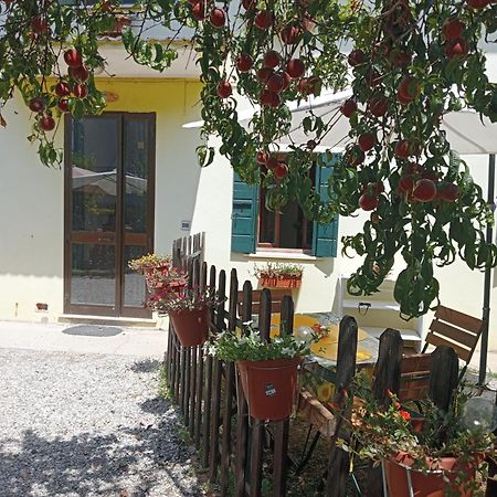 Appartamento Malcontenta Mira Buitenkant foto