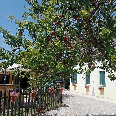 Appartamento Malcontenta Mira Buitenkant foto