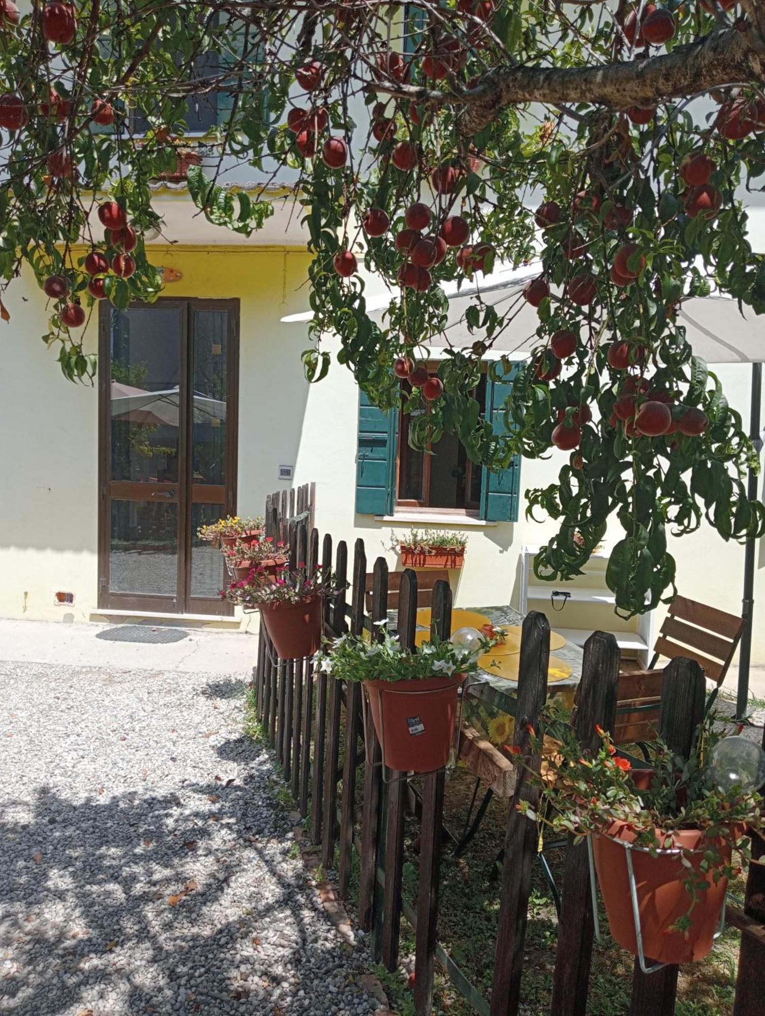 Appartamento Malcontenta Mira Buitenkant foto