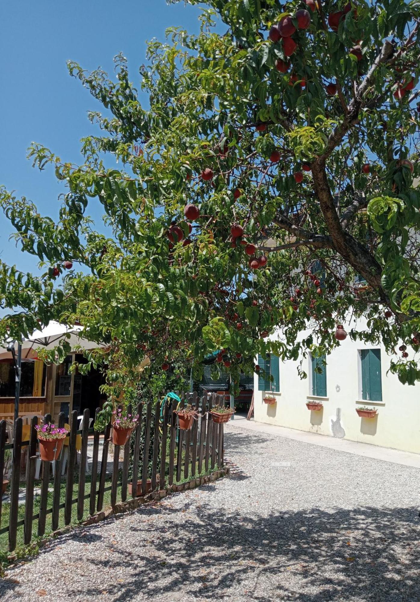 Appartamento Malcontenta Mira Buitenkant foto